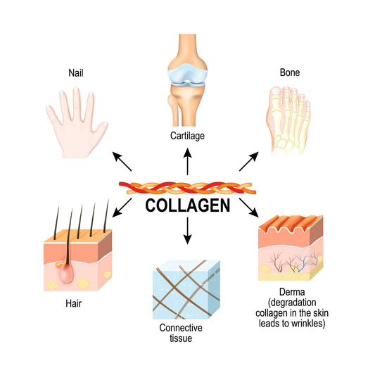 Glow from Within: The Collagen Secret You Need to Know!