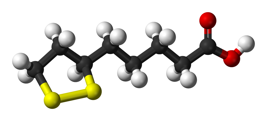🌿 Alpha Lipoic Acid: The Universal Antioxidant for Brain Health & Beyond