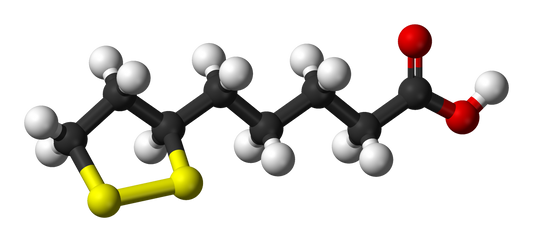 🌿 Alpha Lipoic Acid: The Universal Antioxidant for Brain Health & Beyond