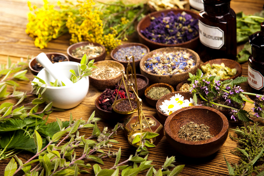 Exploring the World of Herbal Supplements: Benefits, Uses, and Safety