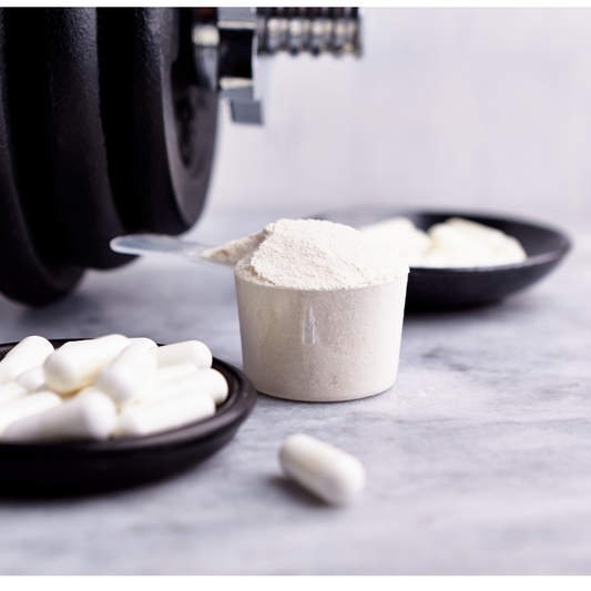 Unlocking the Potential of Creatine: A Comprehensive Guide