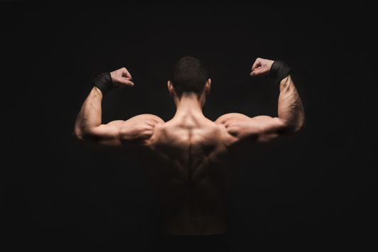 Build a Strong Back: Top Back Workouts for Strength and Definition